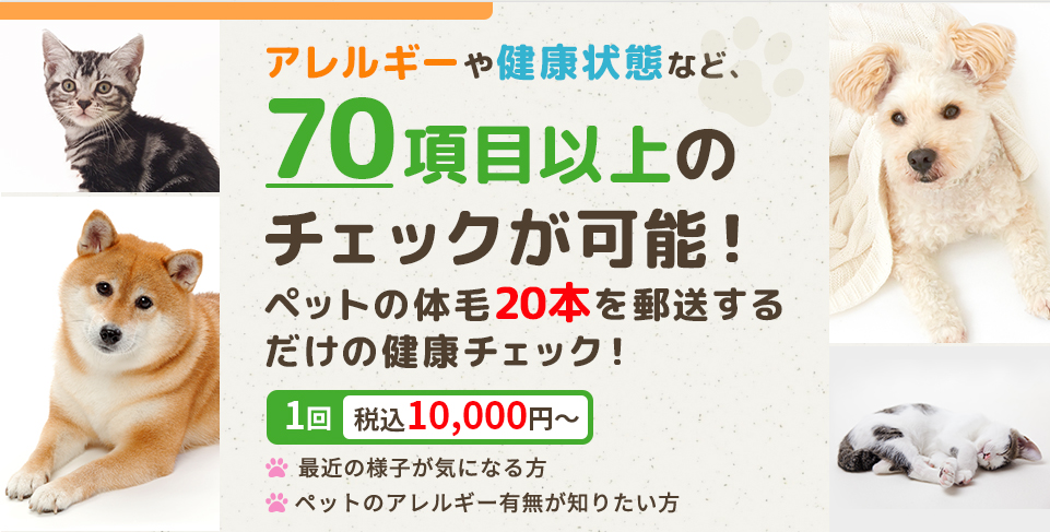 アレルギーや健康状態など、70項目以上の チェックが可能！